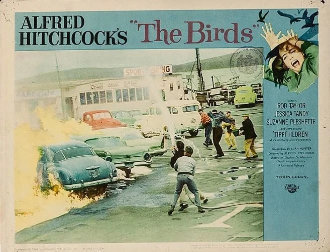 Ptáci (1963)