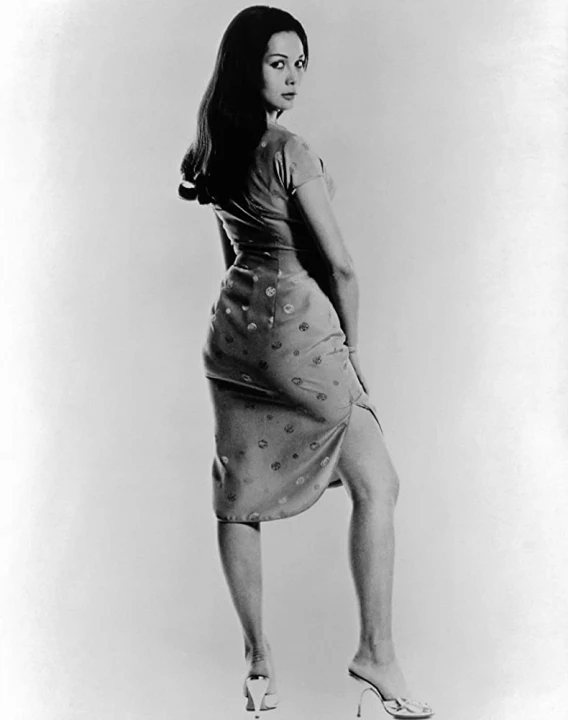 Svět Suzie Wongové (1960)