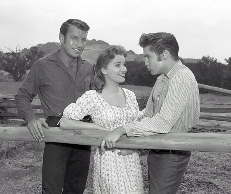 Love Me Tender (1956)