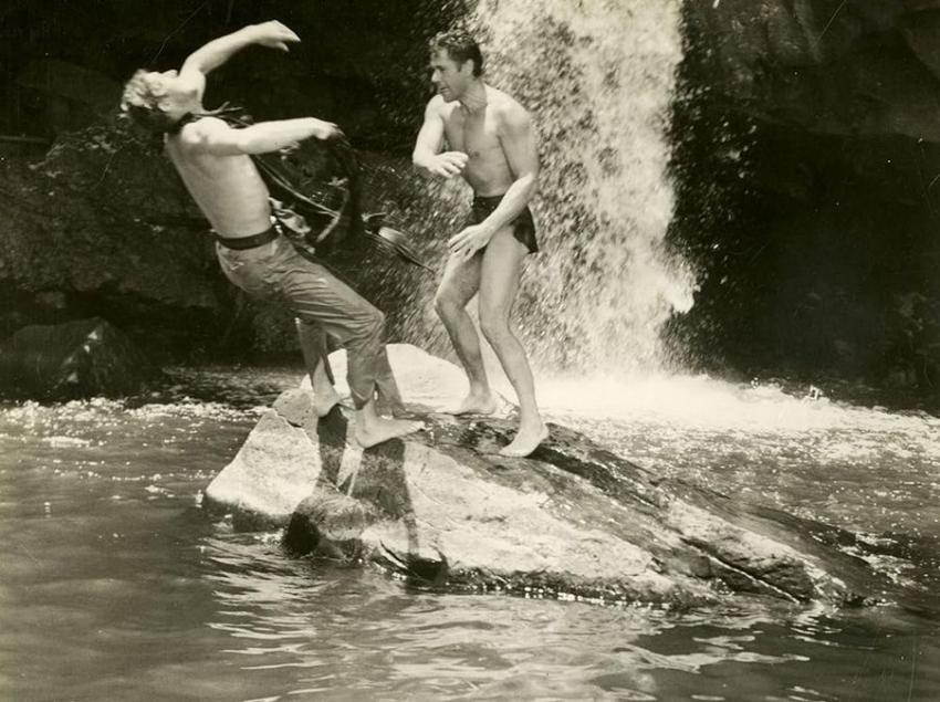 Nádherný Tarzan (1960)