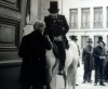 Profesor na bielom koni (1984) [TV inscenace]