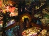 Podmořské obrazy (2002)