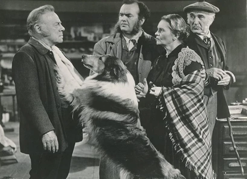 Hills of Home (1948)