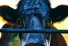 Cowspiracy - Klíč k udržitelnosti (2014)