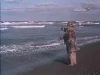 Skvrnitý pes běžící po břehu moře (1990)