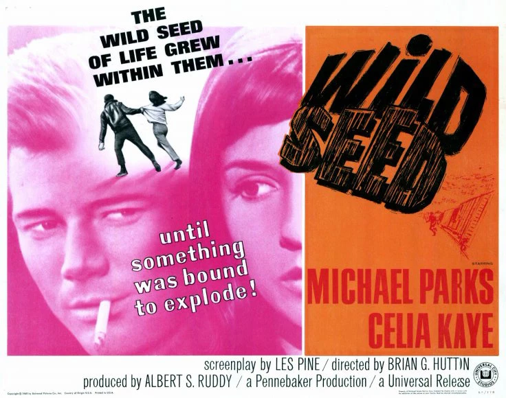 Wild Seed (1965)