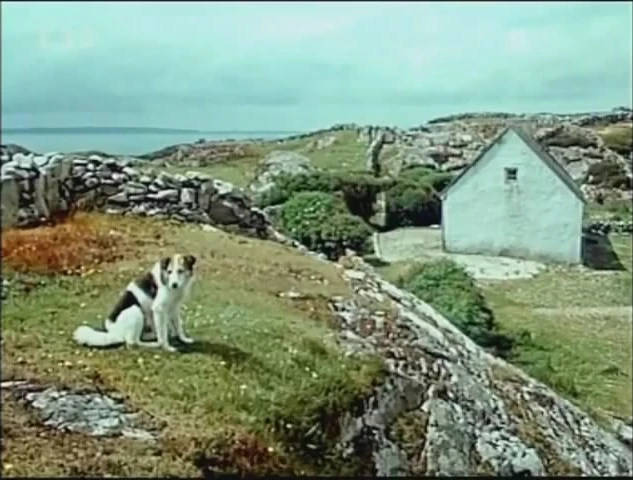 Země sv. Patricka (1967)