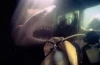 Žralok útočí 2 (2000)