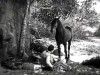 The Devil Horse (1926)