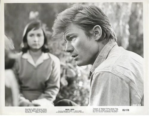 Wild Seed (1965)