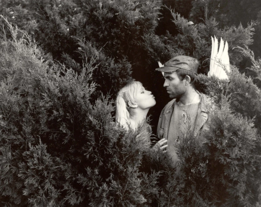 Slávnosť v botanickej záhrade (1969)