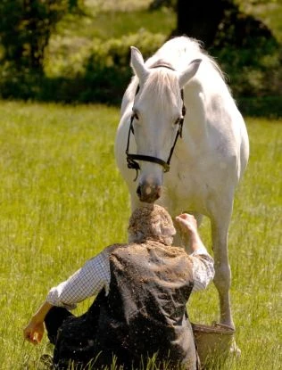 Ve stínu koňských stájí (2010) [TV film]