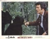Medvědi a já (1974)