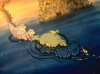 Země dinosaurů 1 - Jak to všechno začalo (1988)