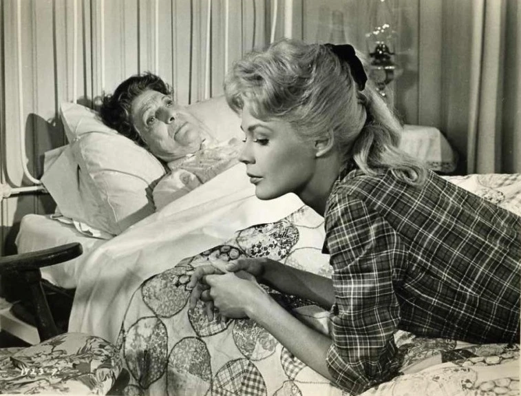 Tammy a doktor (1963)