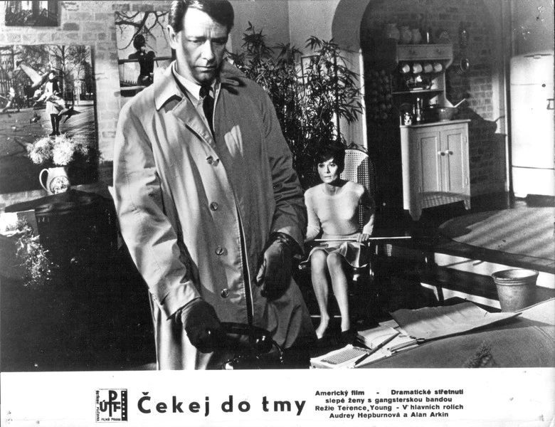 Čekej do tmy (1967)