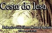 Cesta do lesa (2012)