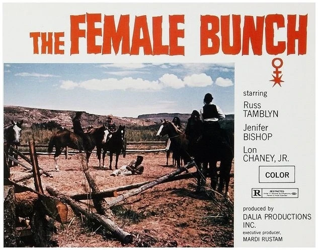 The Female Bunch (1971)