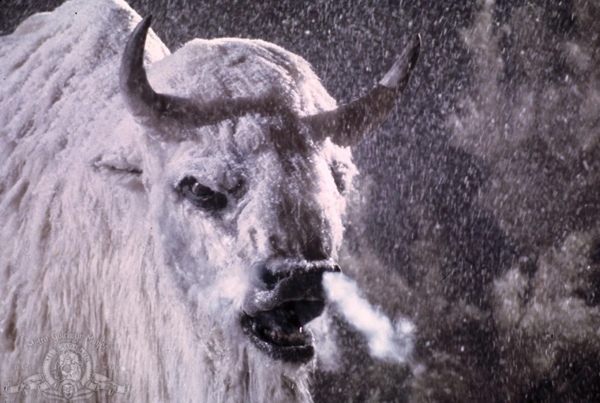 Bílý bizon (1977)