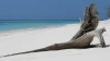 Aldabra: Byl jednou jeden ostrov (2014)