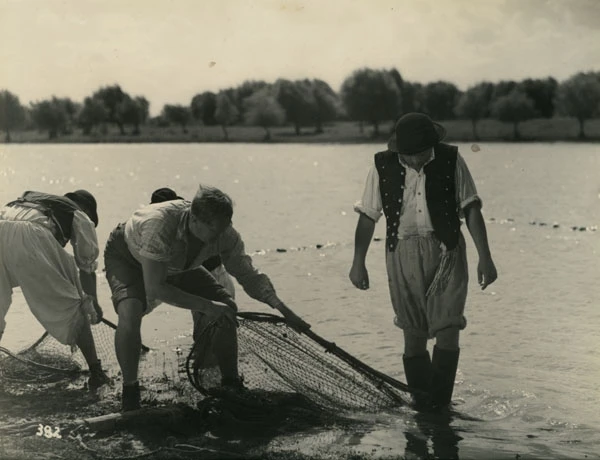 Tiszavirág (1939)