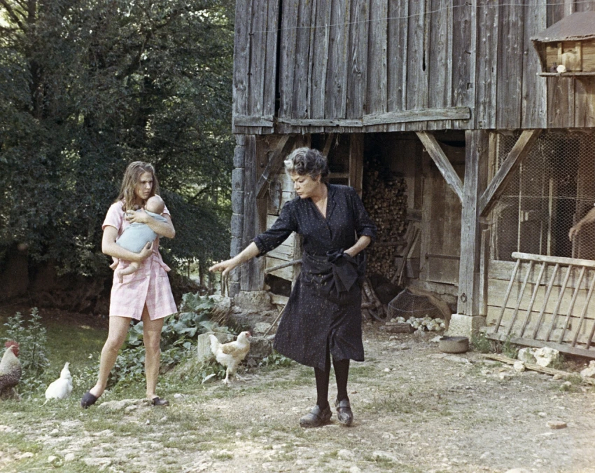 Vdova (1971)