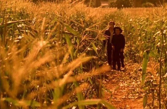 Kukuřičné děti 6: Izákův návrat (1999) [Video]