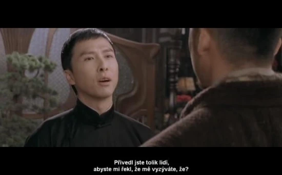 Ip Man (2008)