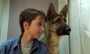 Komisař Rex, mladá léta (1997) [TV film]