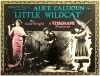 Little Wildcat (1922)