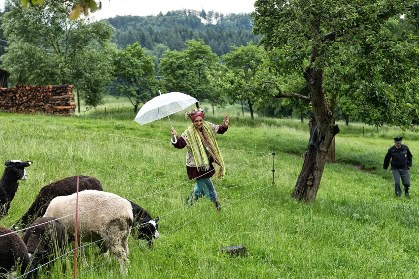 Zločin ve zkušebně (2019) [TV epizoda]