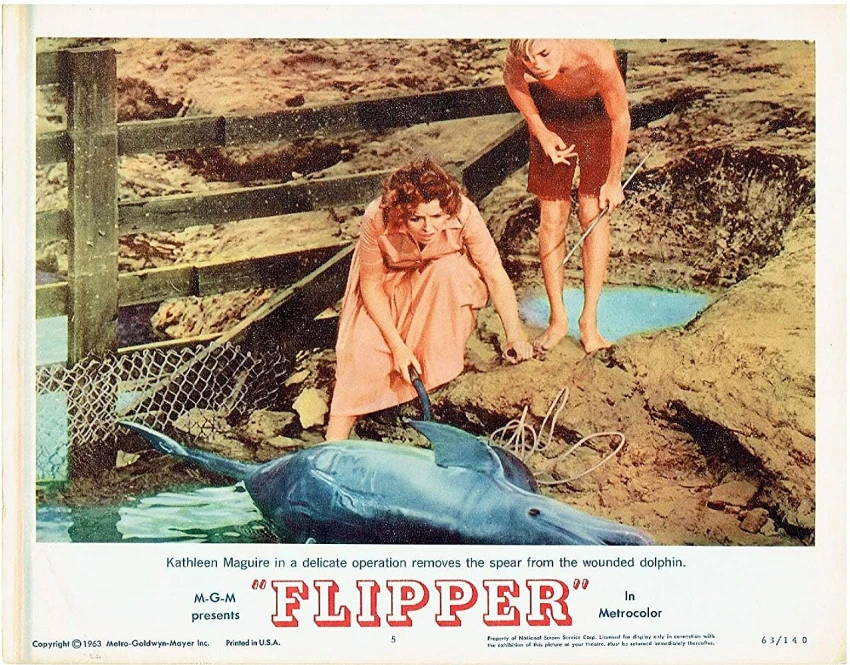 Flipper (1963)