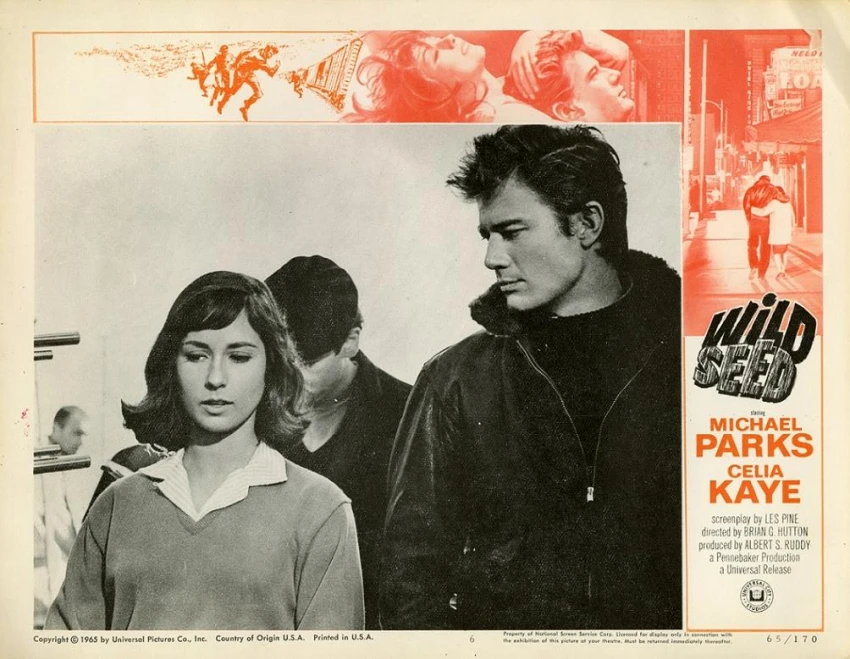 Wild Seed (1965)