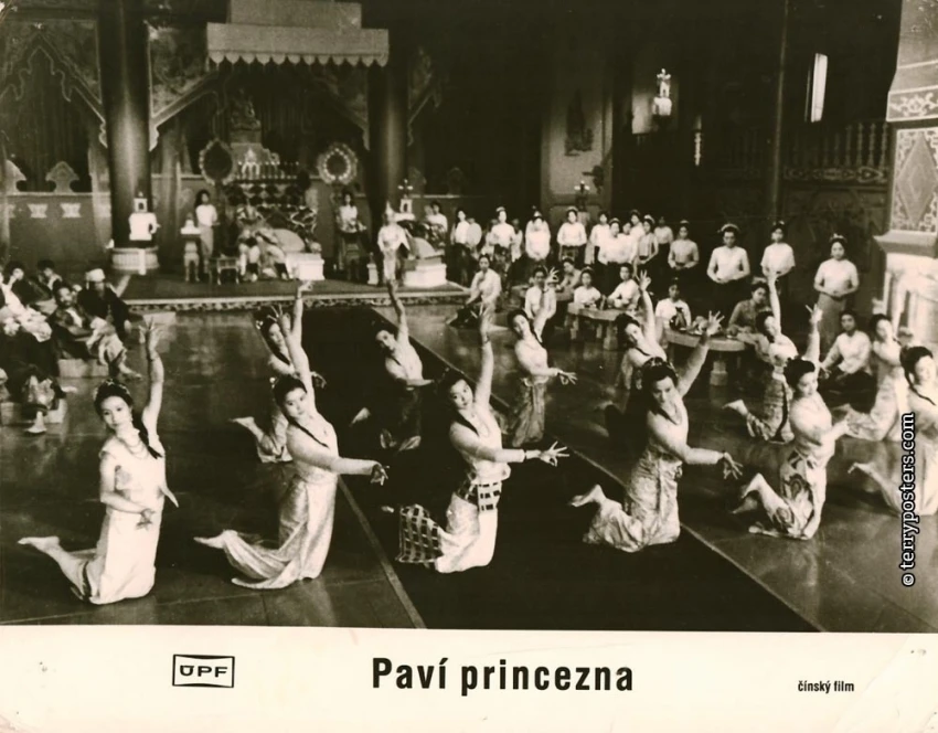 Paví princezna (1981)
