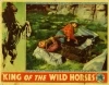 King of the Wild Horses (1933)
