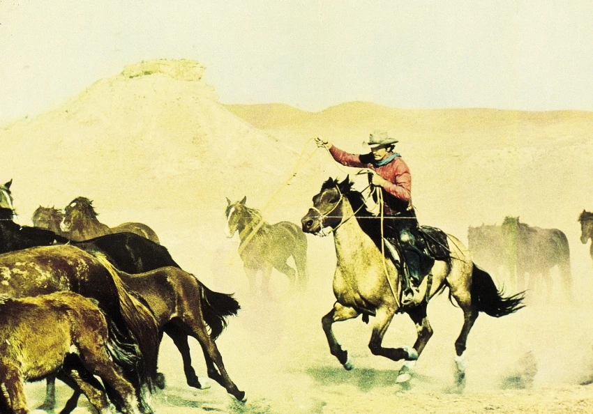 Valdezovi koně (1973)