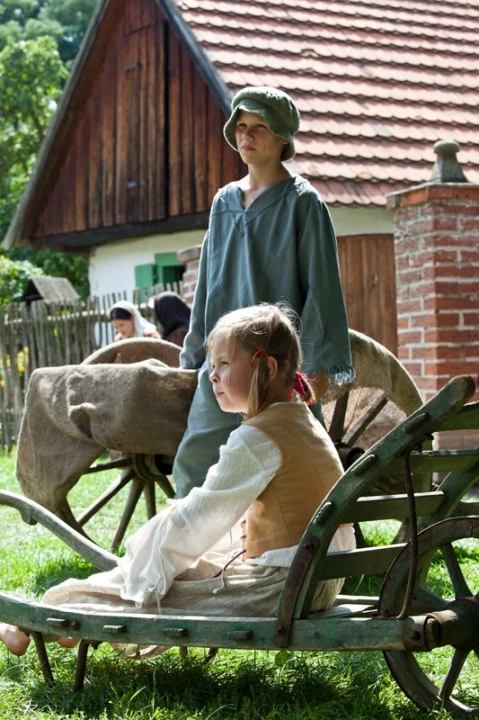 Tajemství staré bambitky (2011) [TV film]