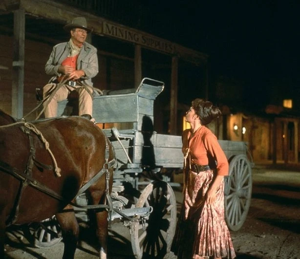 El Dorado (1966)
