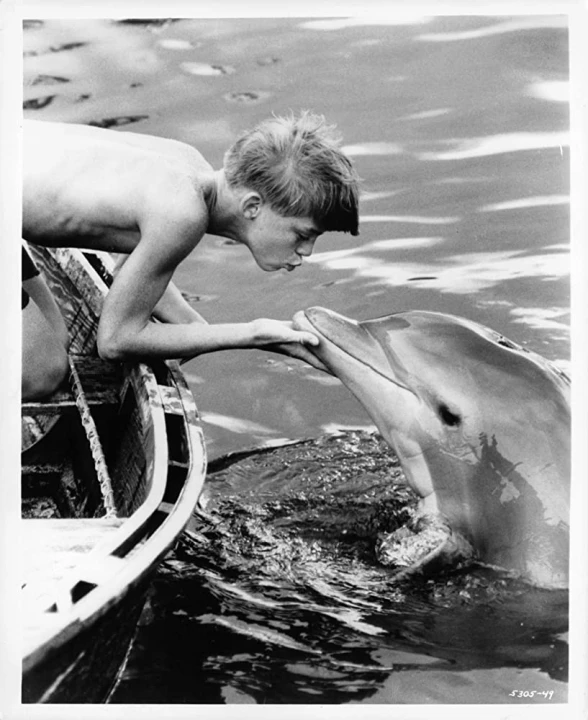 Flipper (1963)