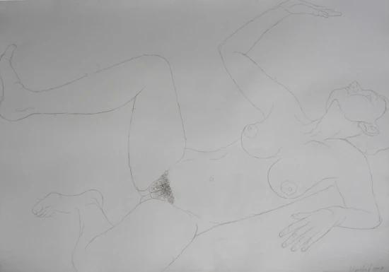 Chlupatice - chloupky z ohanbí, na eroticky sonet 1m x 70cm, 2009