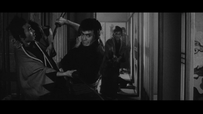 Zběsilost (1966)