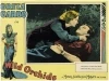 Divoké orchideje (1929)
