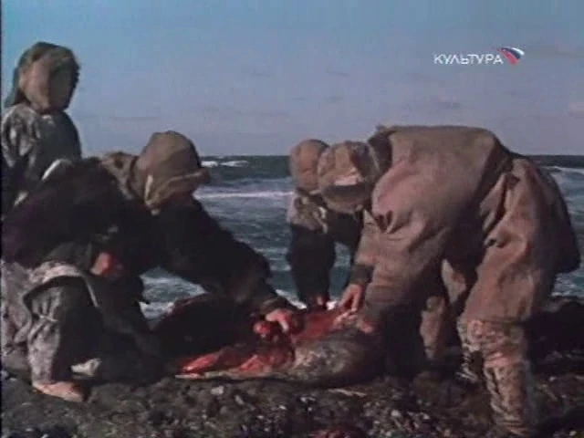 Skvrnitý pes běžící po břehu moře (1990)