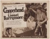 The Copperhead (1920)