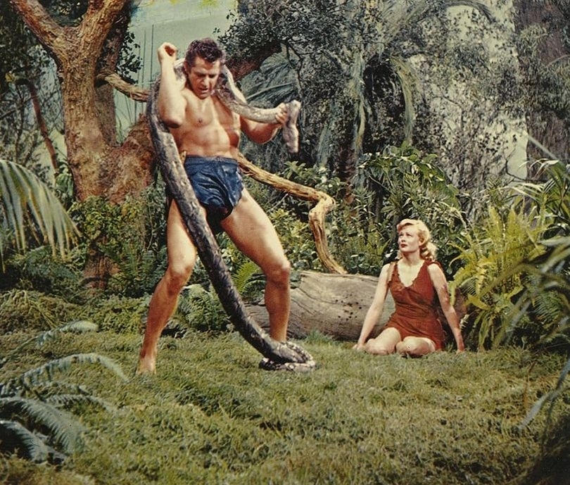 Tarzan's Fight for Life (1958)