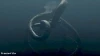 Megažralok vs. obří chobotnice (2009) [Video]
