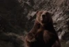 Divoký grizly (2000) [TV film]