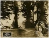 Eyes of the Forest (1923)