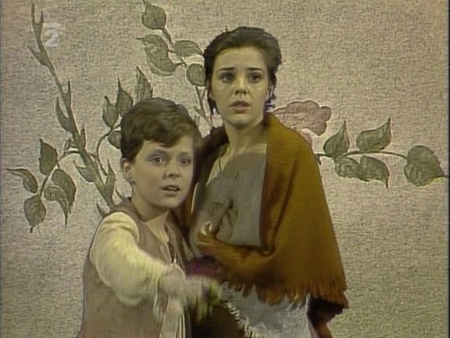 Bratr a sestra (1986) [TV inscenace]
