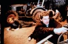 Místo činu: Zvířata (1990) [TV epizoda]